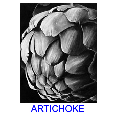 artichoke 2